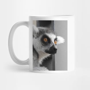 Ring Tailed Lemur Mug